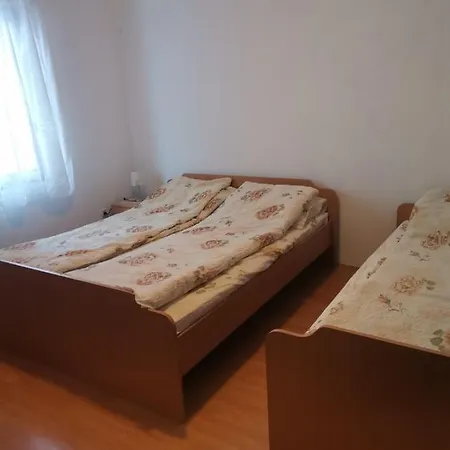 Smestaj Vlasina Country house *